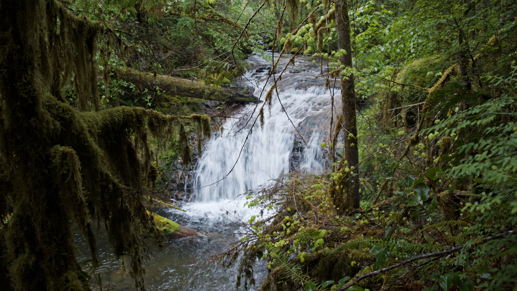 a waterfall in the woods