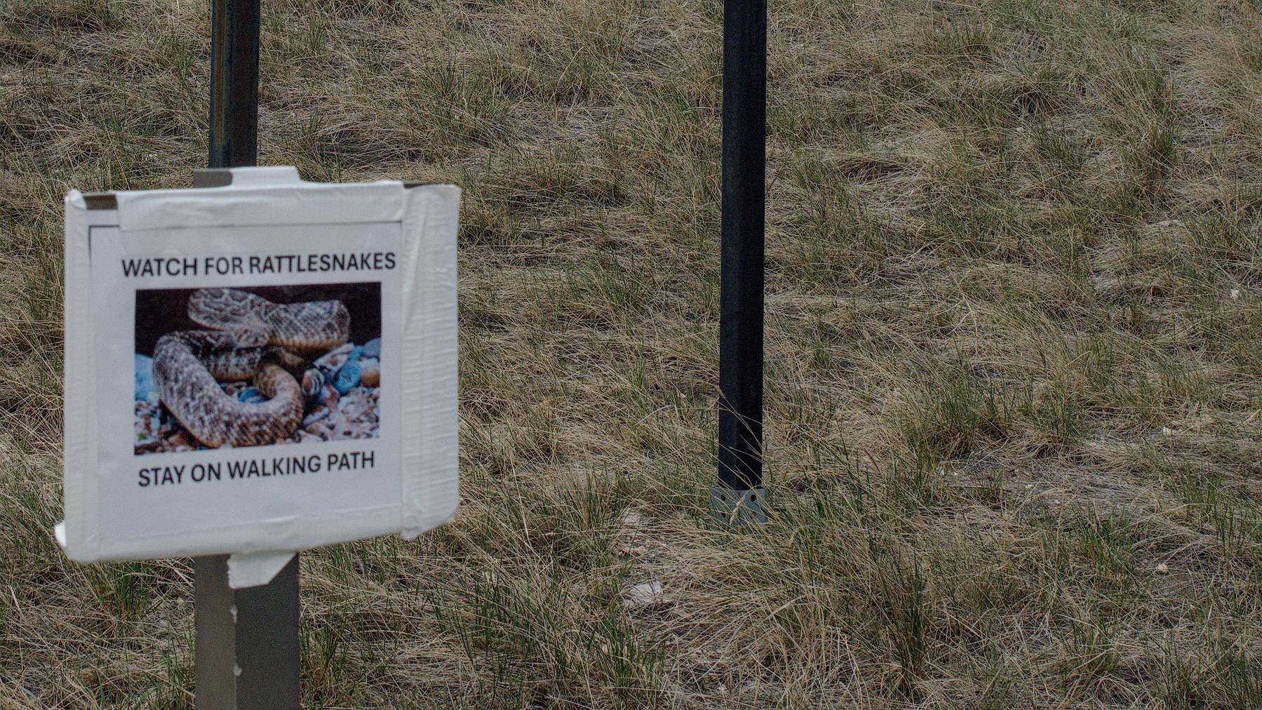 sign reading "WATCH FOR RATTLESNAKES, STAY ON WALKING PATH"