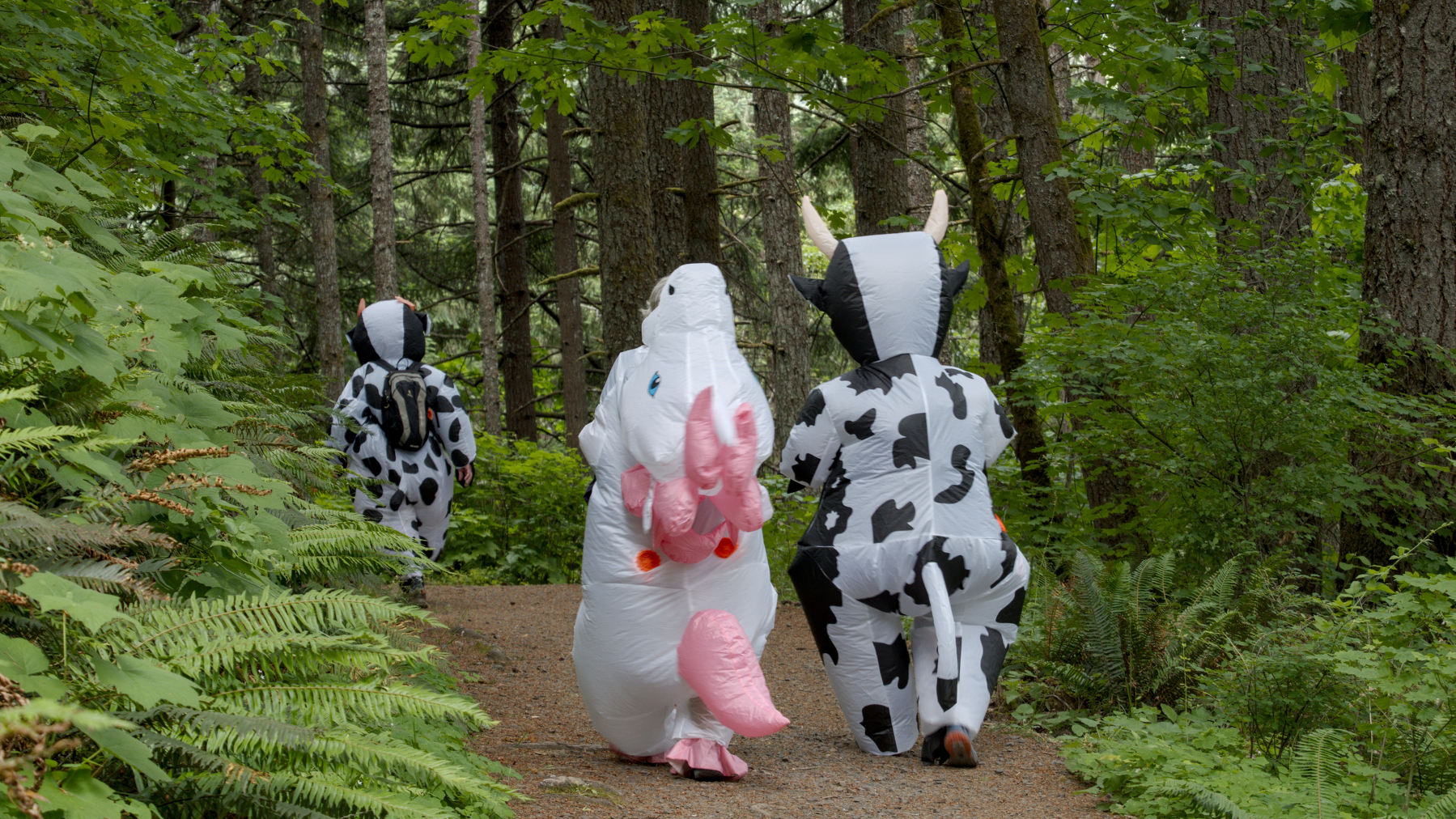 three people hiking in inflatable animal costumes