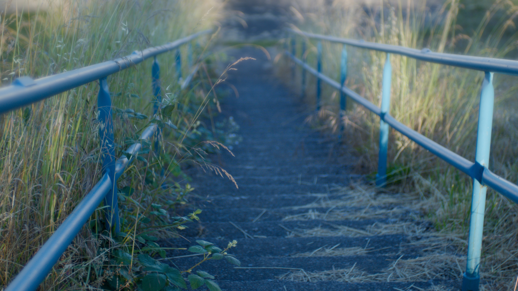stairs leading into a bright hazy distance