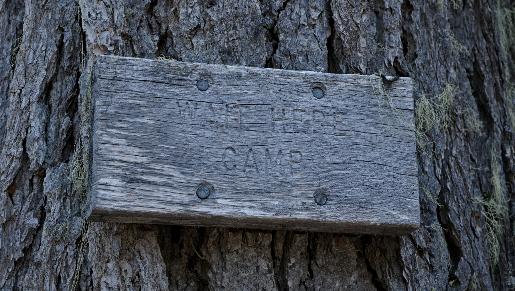 sign on a tree reading "WAIT HERE CAMP"