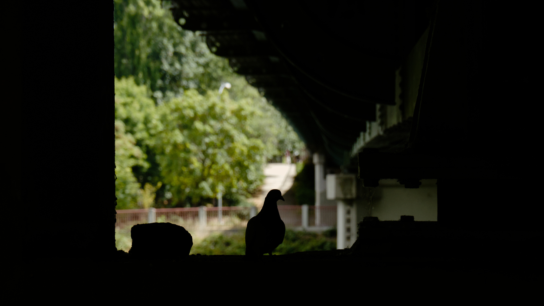 silhouette of a bird perched under a bridge