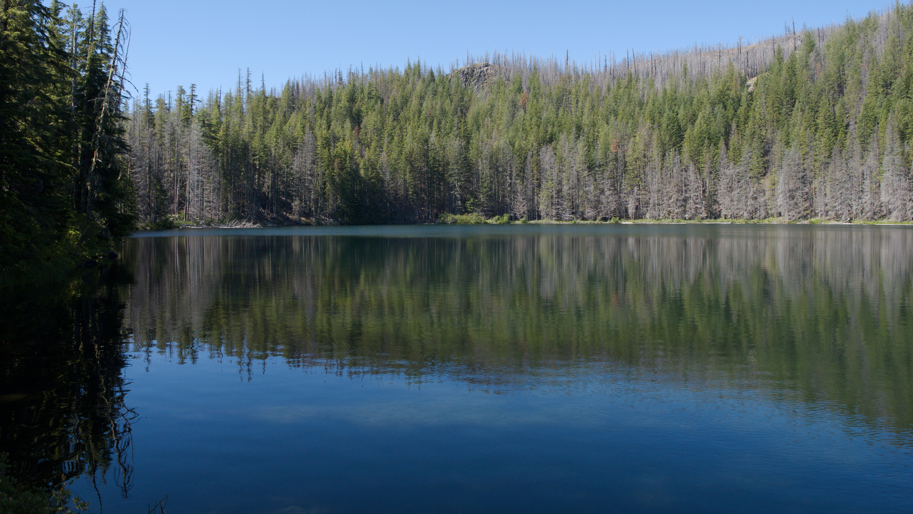 trees reflected in a cascades lake
