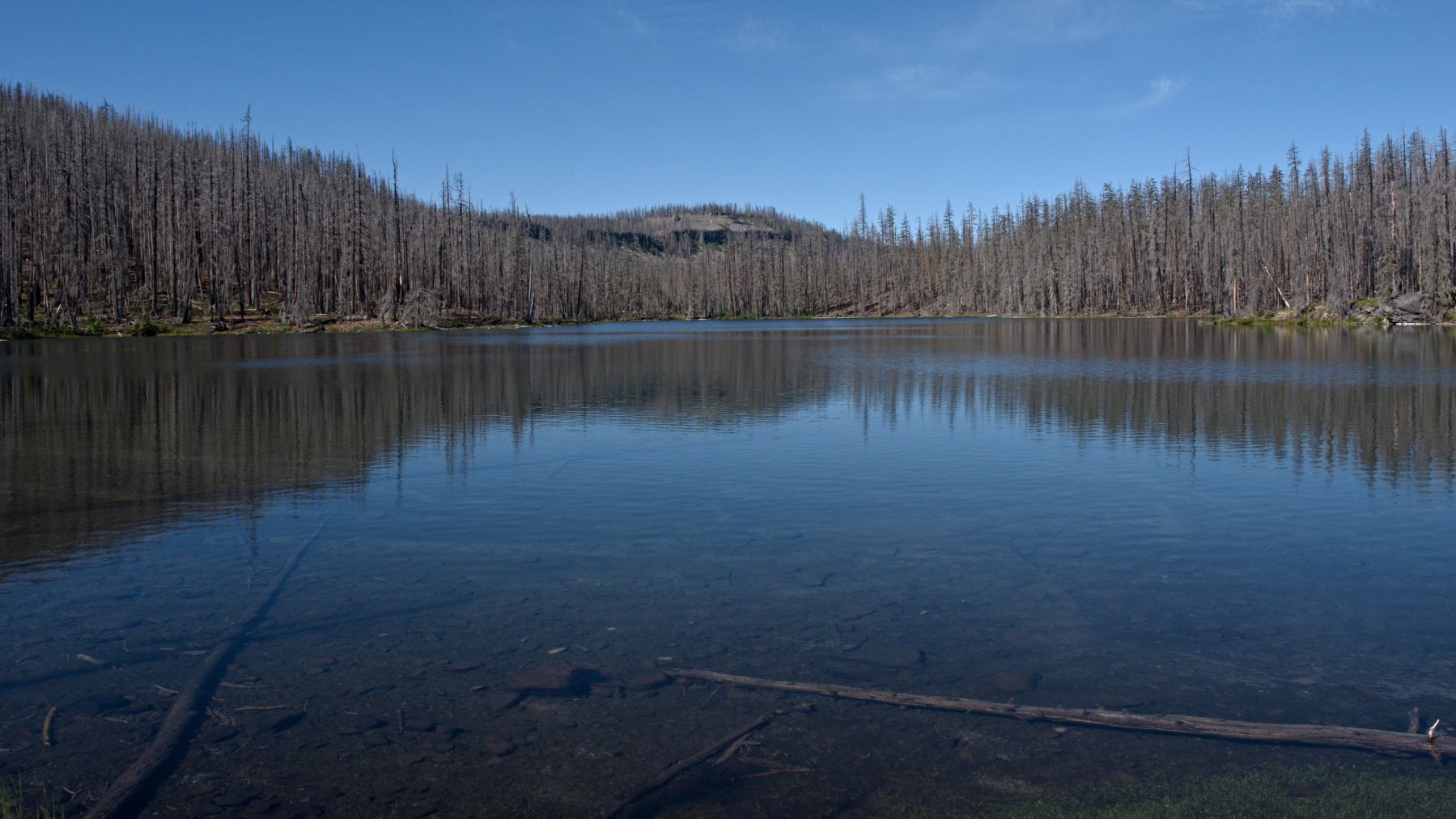 cascades lake surrounded by burnt standing timber