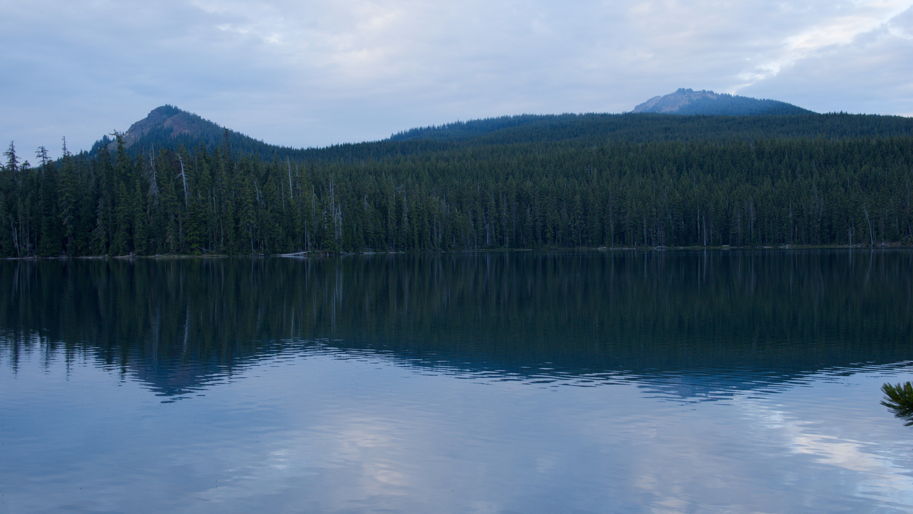 mountains and trees reflected in a lake