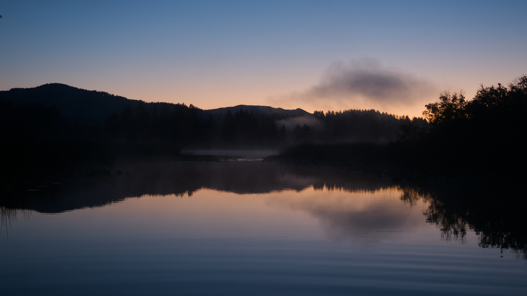 dawn over a dark lake with trees and fog and ripples