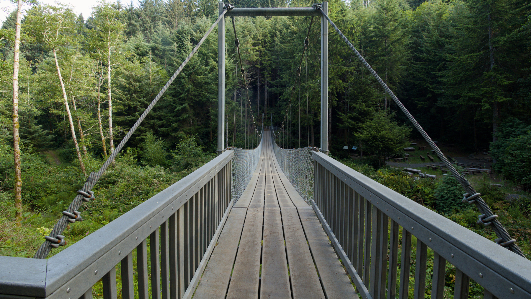 suspension bridge along Amanda's Trail