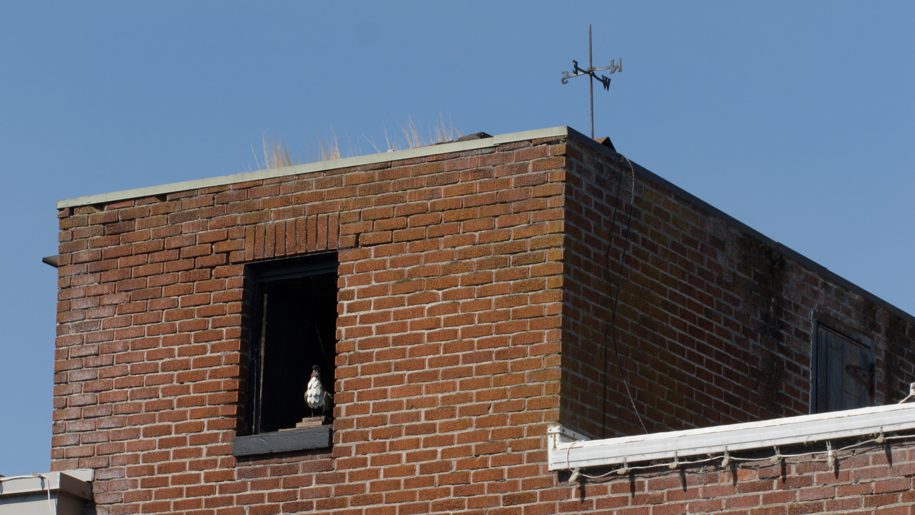 brick building with a broken weather vane, grass growing on the roof, and a mysterious chicken sculpture in the missing window
