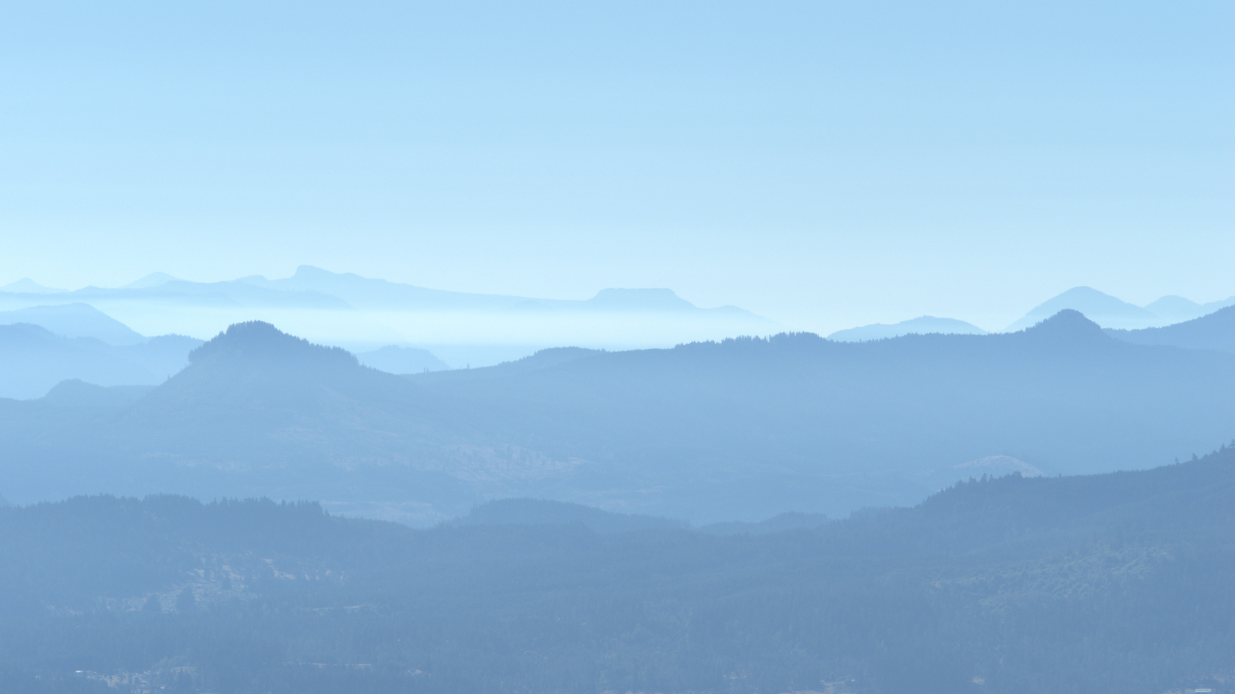 skylines vanishing into the distance