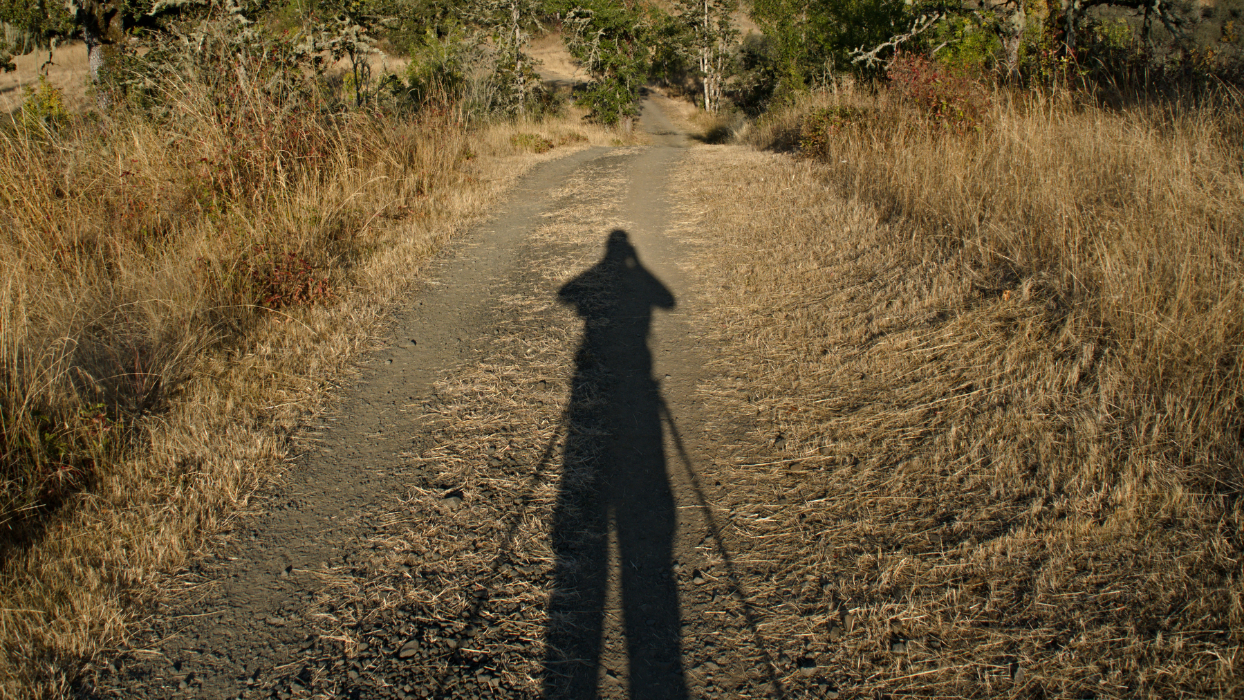 photographer's shadow pointing along a dirt trail
