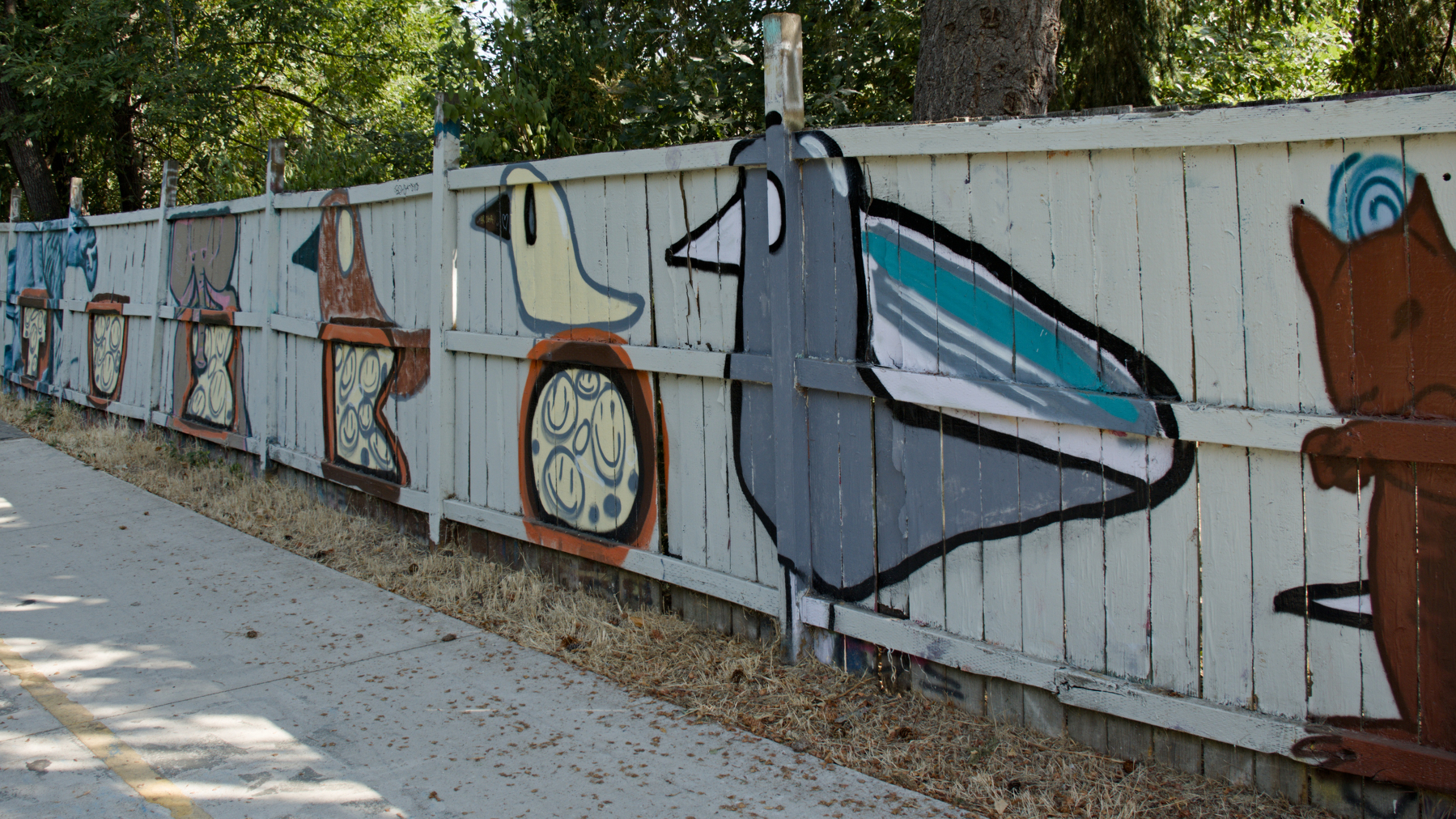 Birds painted on a fence
