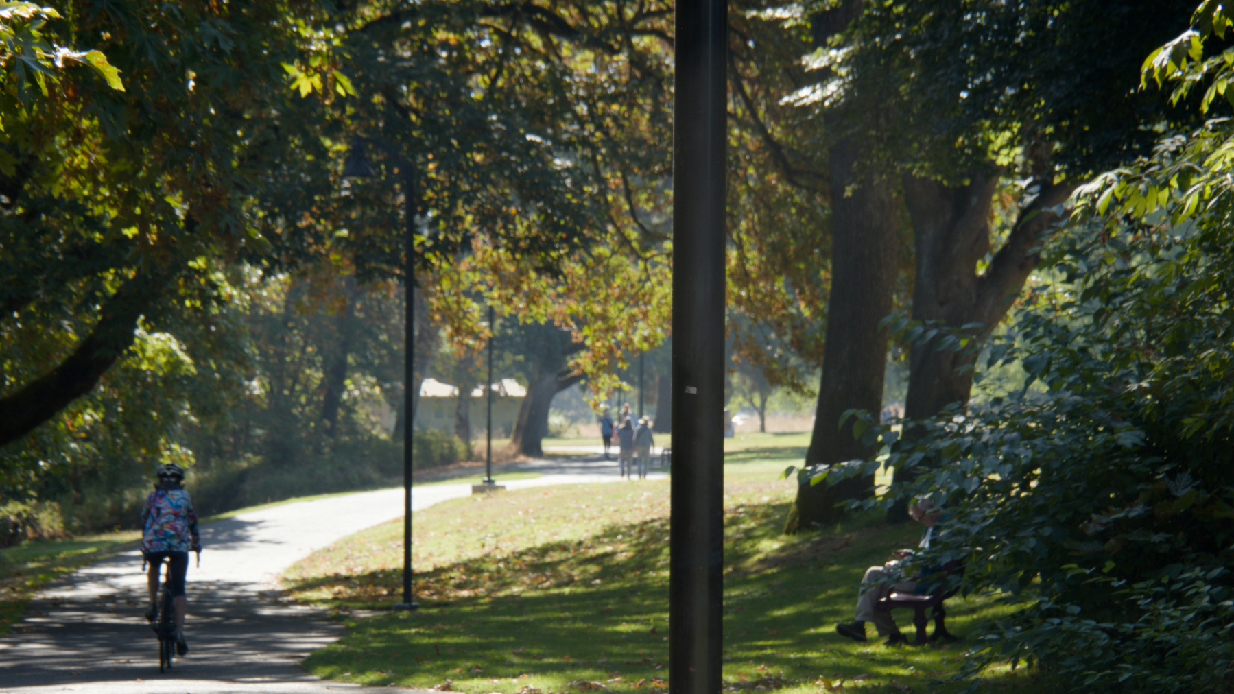 path through the trees with various people