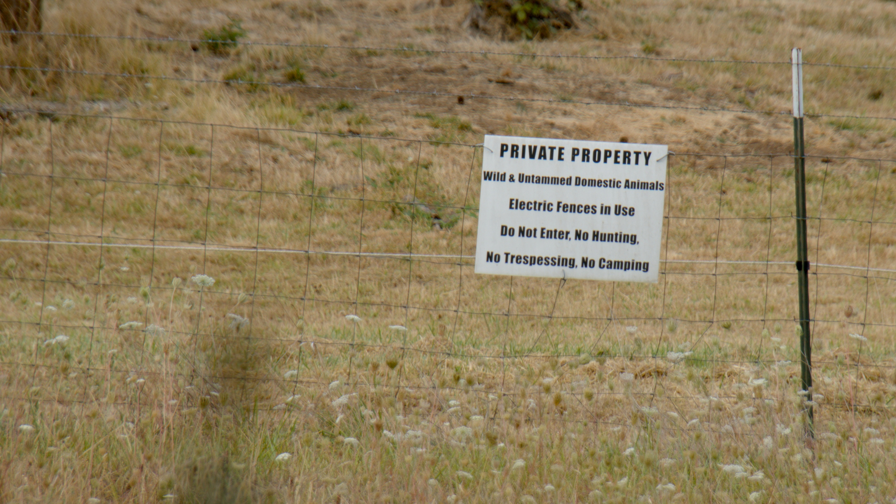 sign on a fence: "PRIVATE PROPERTY. Wild & Untammed Domestic Animals. Electric Fences in Use. Do Not Enter, No Hunting, No Trespessing, No Camping"