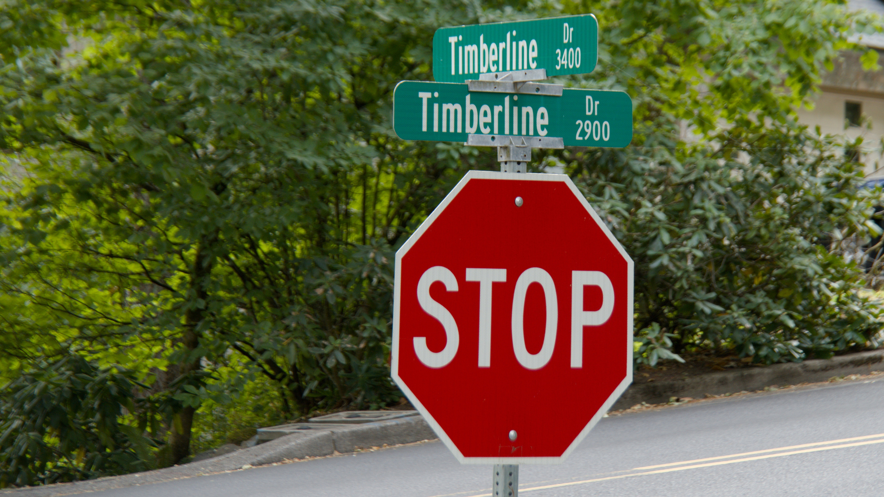street signs at the intersection of Timberline drive and Timberline Drive