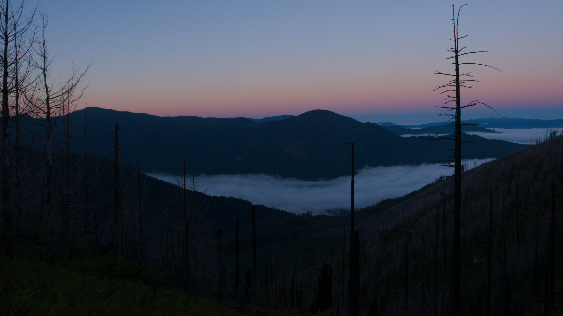 sunrise over forested hills with fog in the valleys between