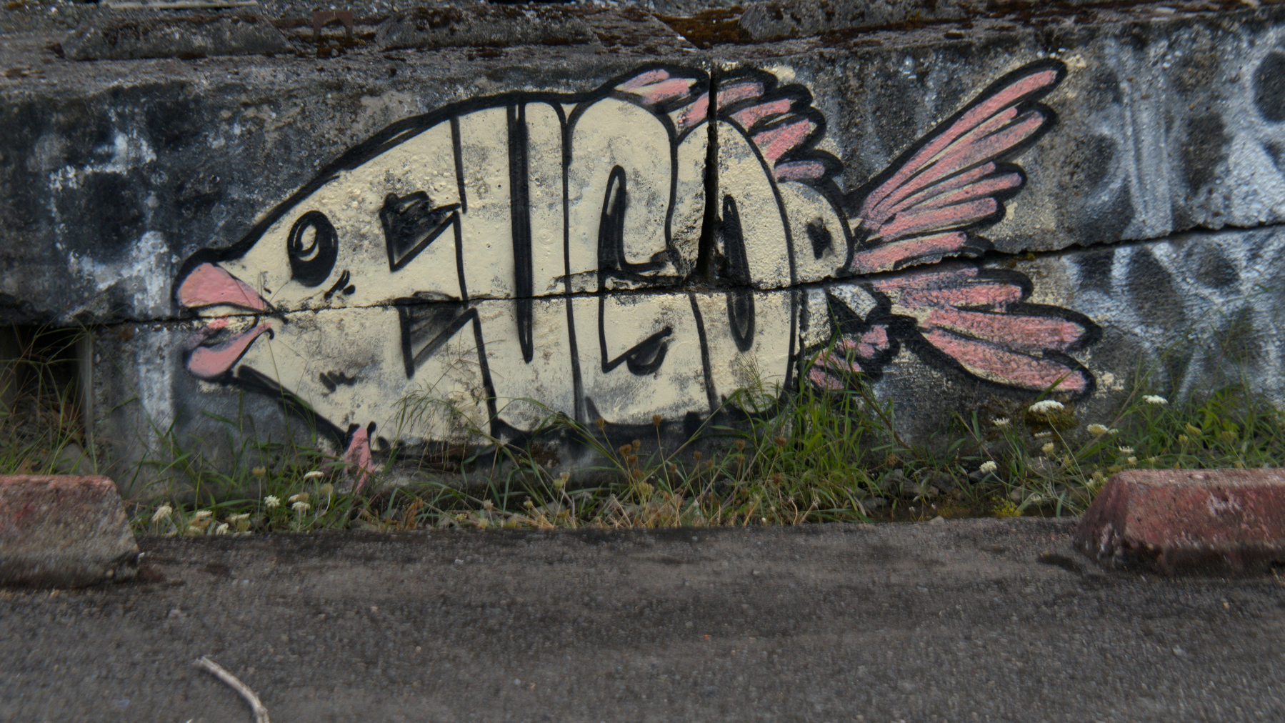 a fish-shaped graffiti tag