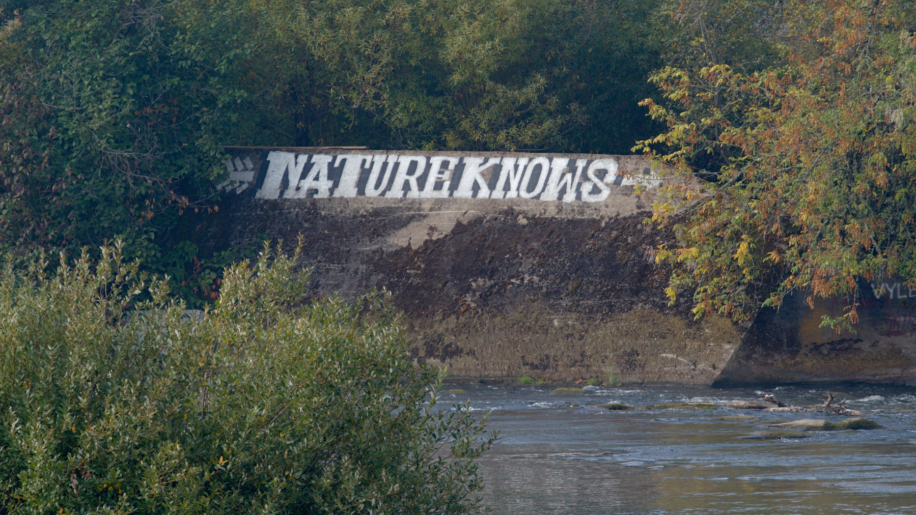 "NATUREKNOWS" painted on a retaining wall