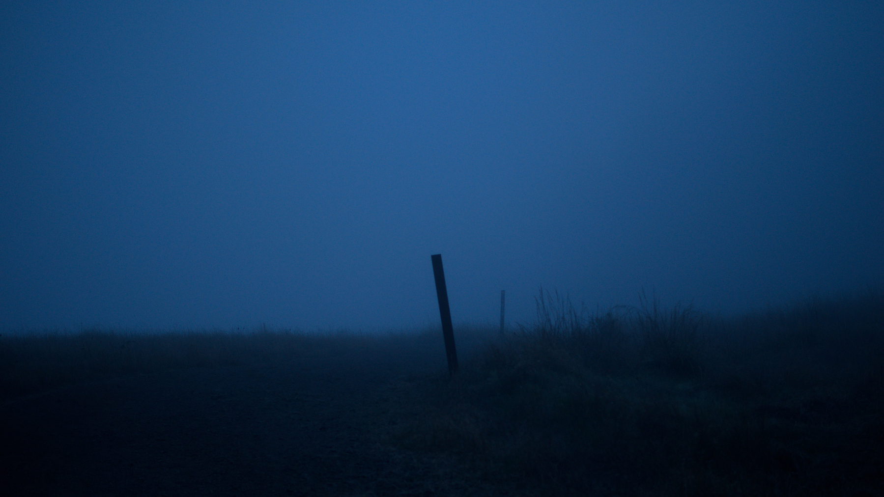 Fence posts before dawn