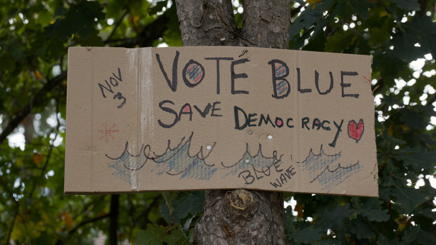 VOTE BLUE SAVE DEMOCRACY