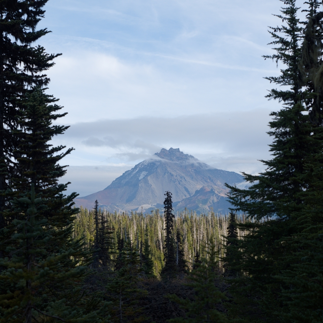 Mountain with clouds glimpsed through a break in the trees