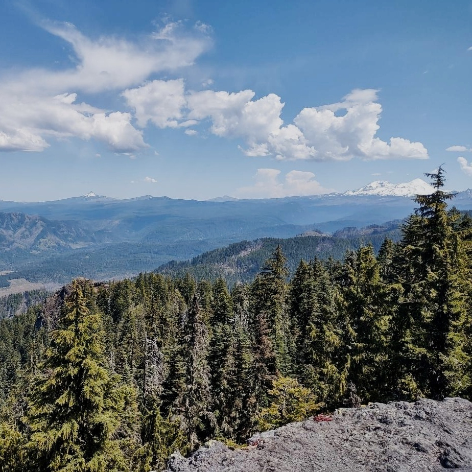 Trees and mountains