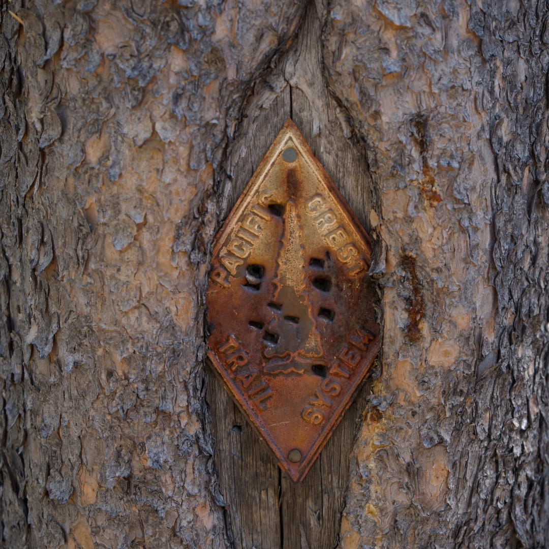 Pacific Crest Trail System metal marker embedded in a tree