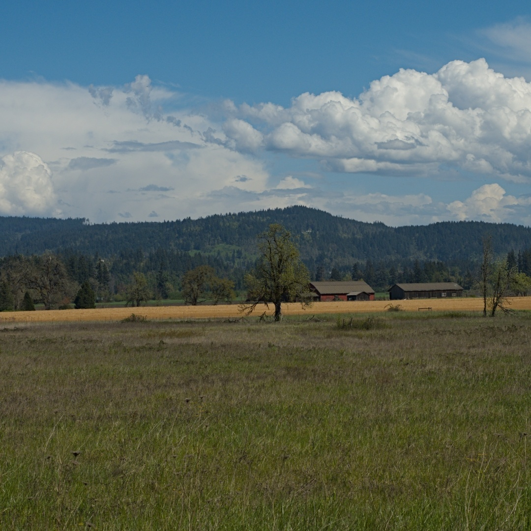 Fields, barns, mountains, clouds