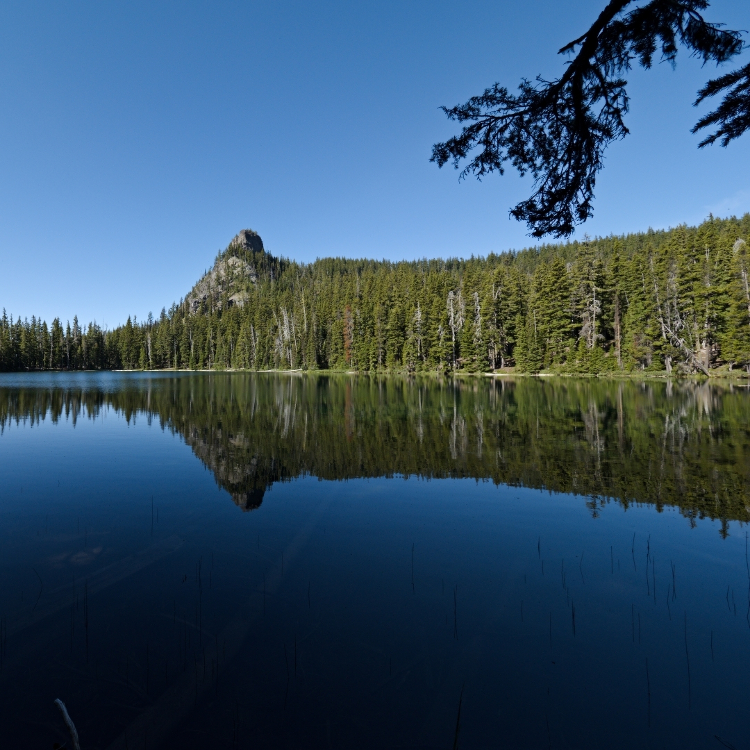 Blue lake with trees and mountain