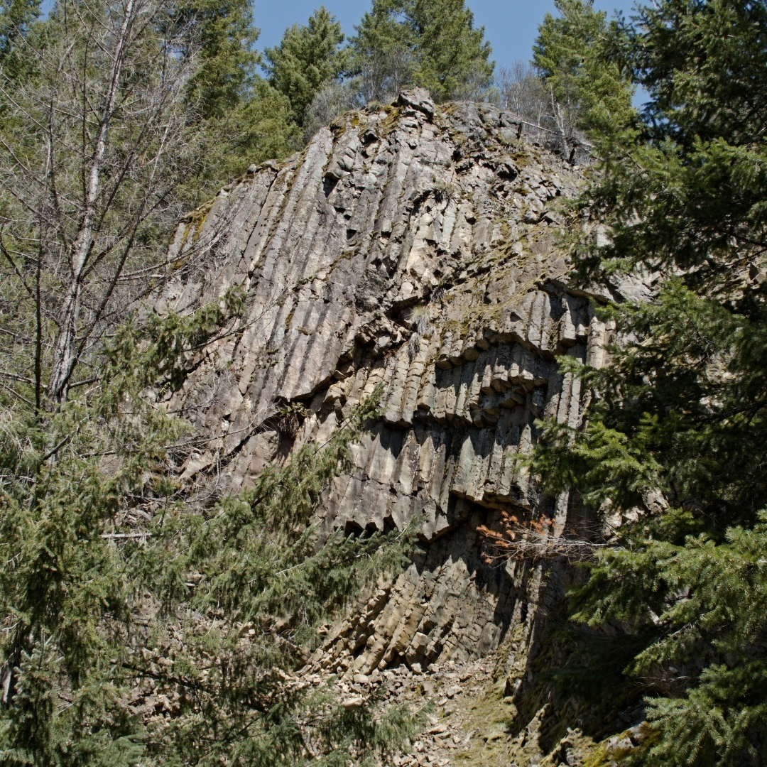 funky looking rock cliff with evergreens