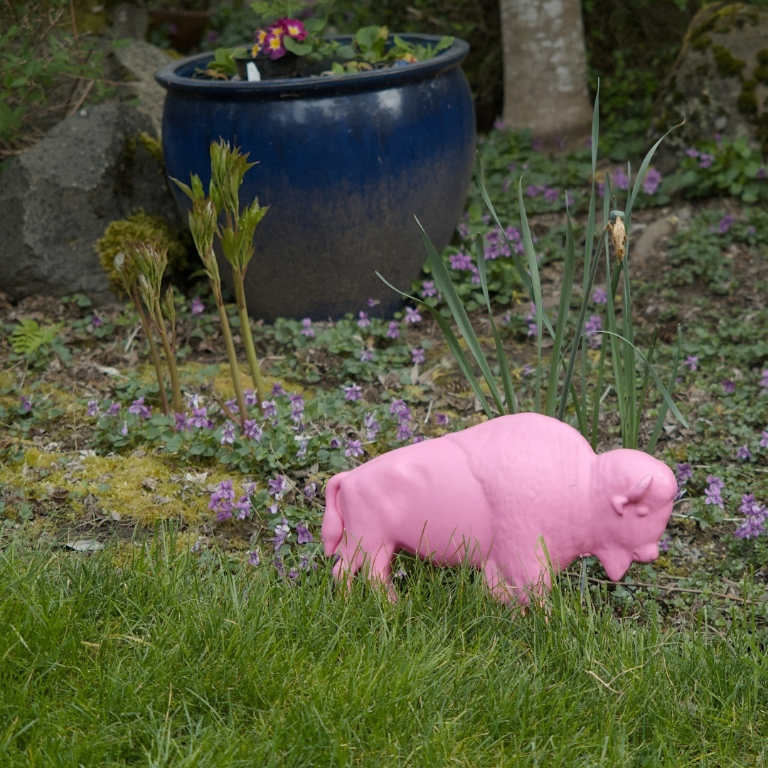 pink plastic buffalo in a garden
