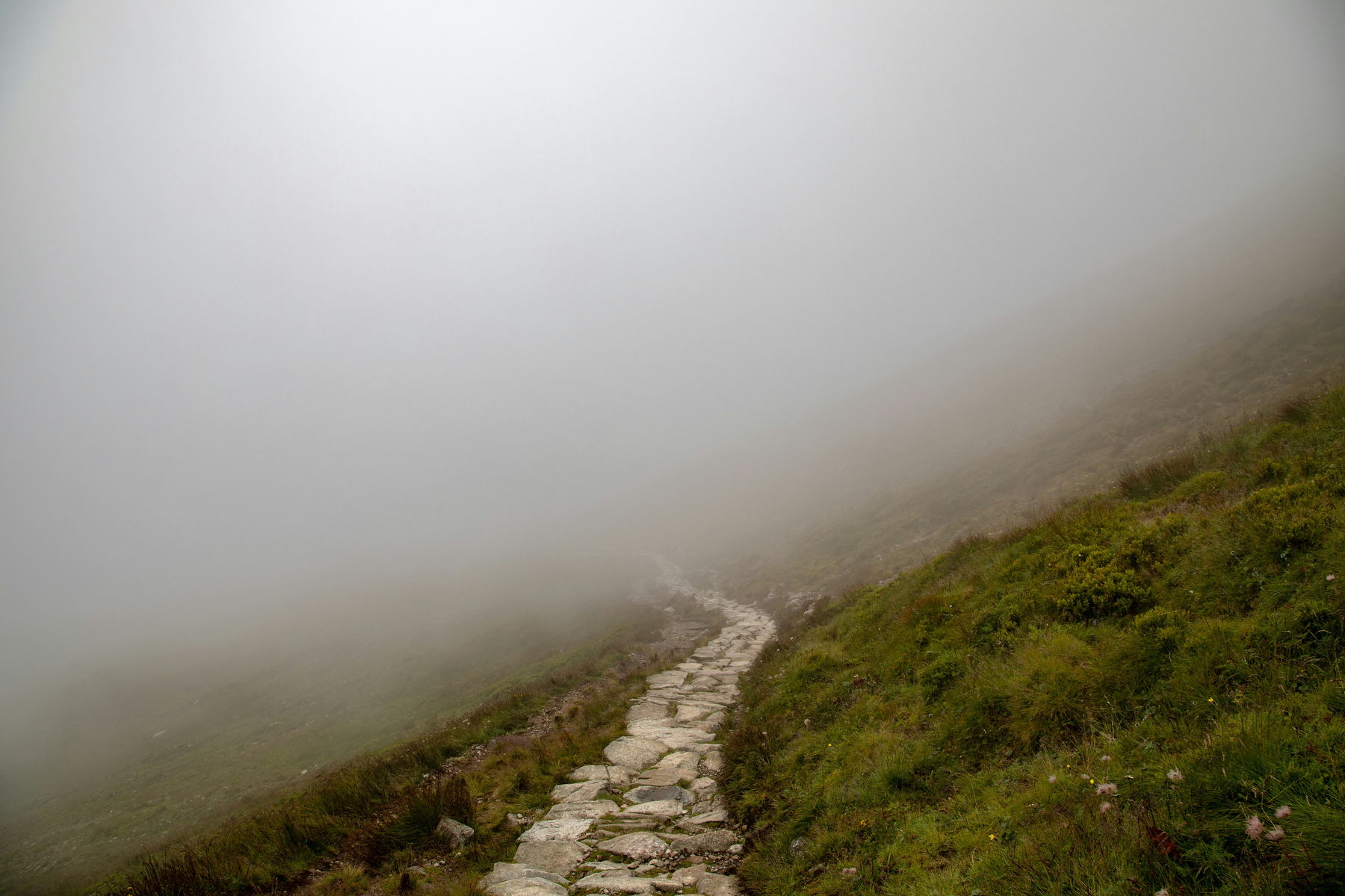 A narrow stone path cutting across a hillside and disappearing into dense fog filling most of the top half of the frame