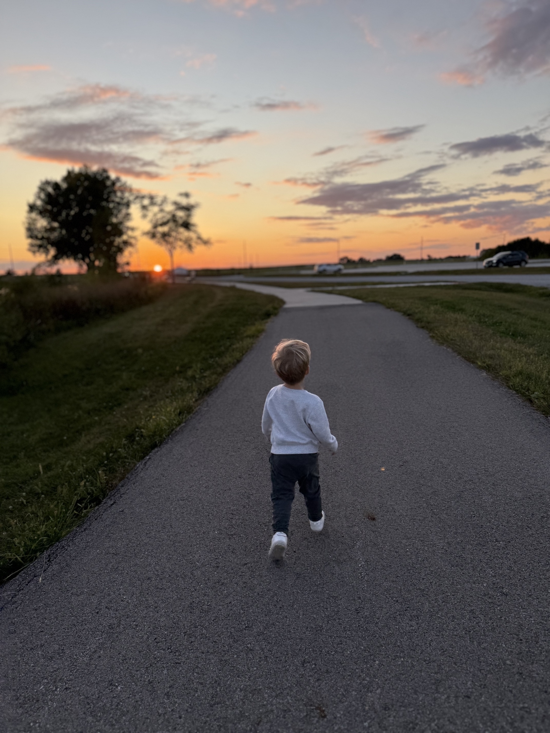 A child is walking on a path toward a sunset, with a tree silhouetted against the colorful sky.