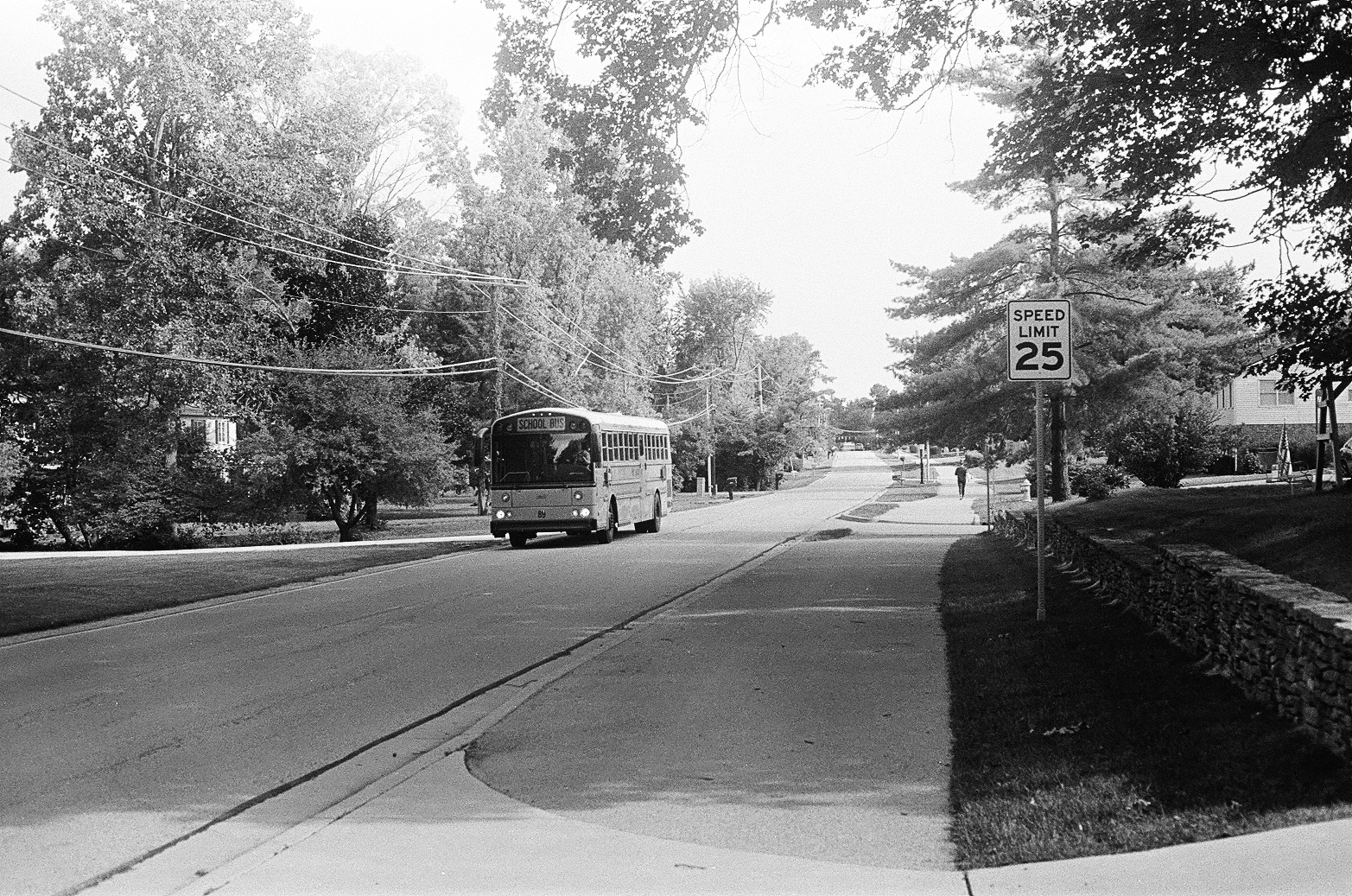 A school bus travels down a residential street. 
