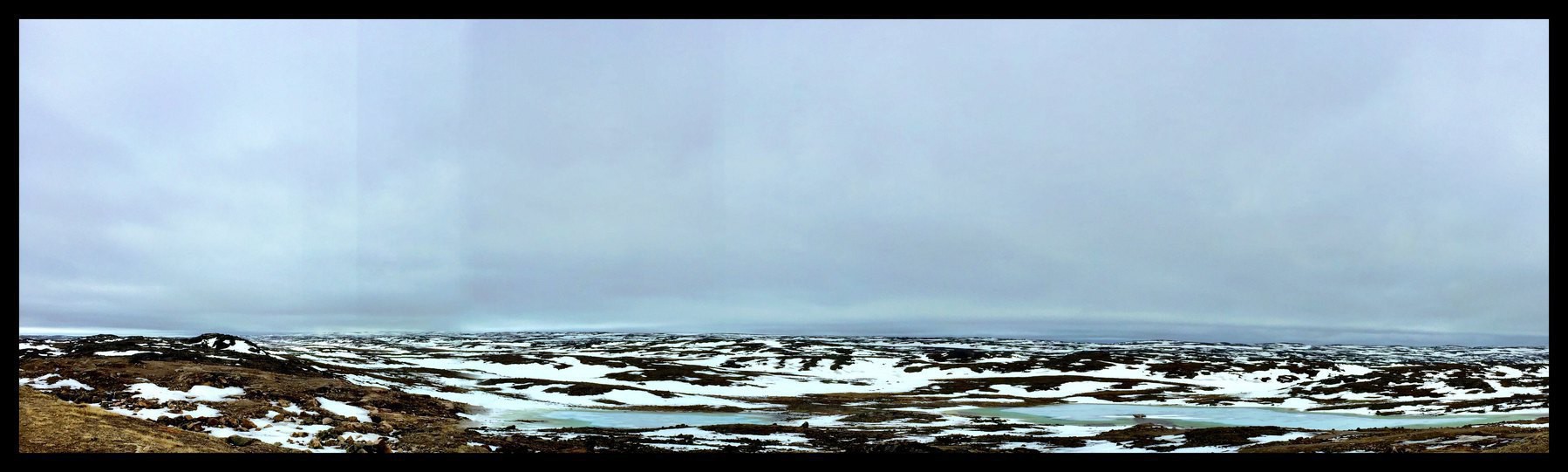 Arctic tundra