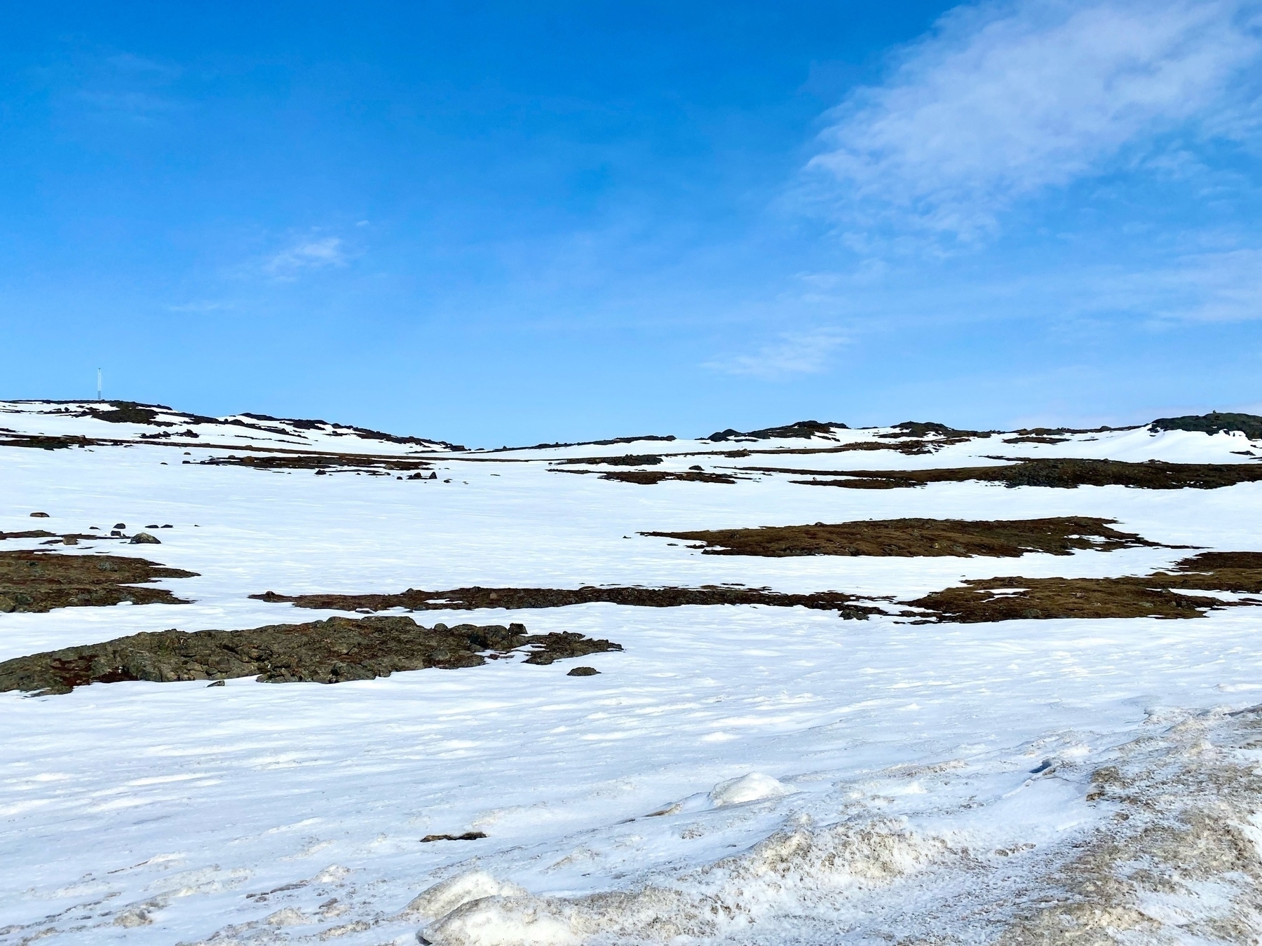 snow-covered hillside under blue sky
