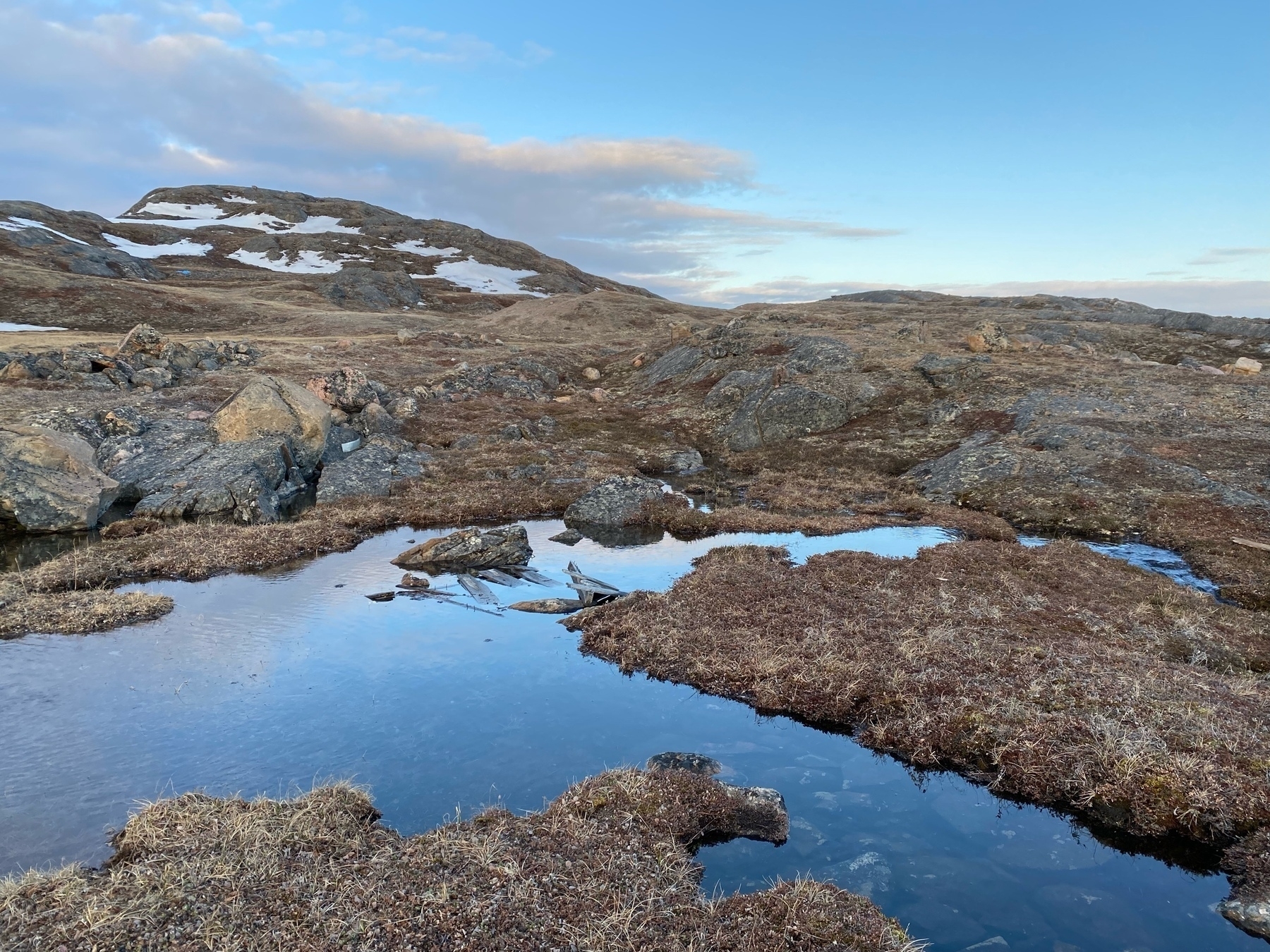 Evening hillside of rocky tundra