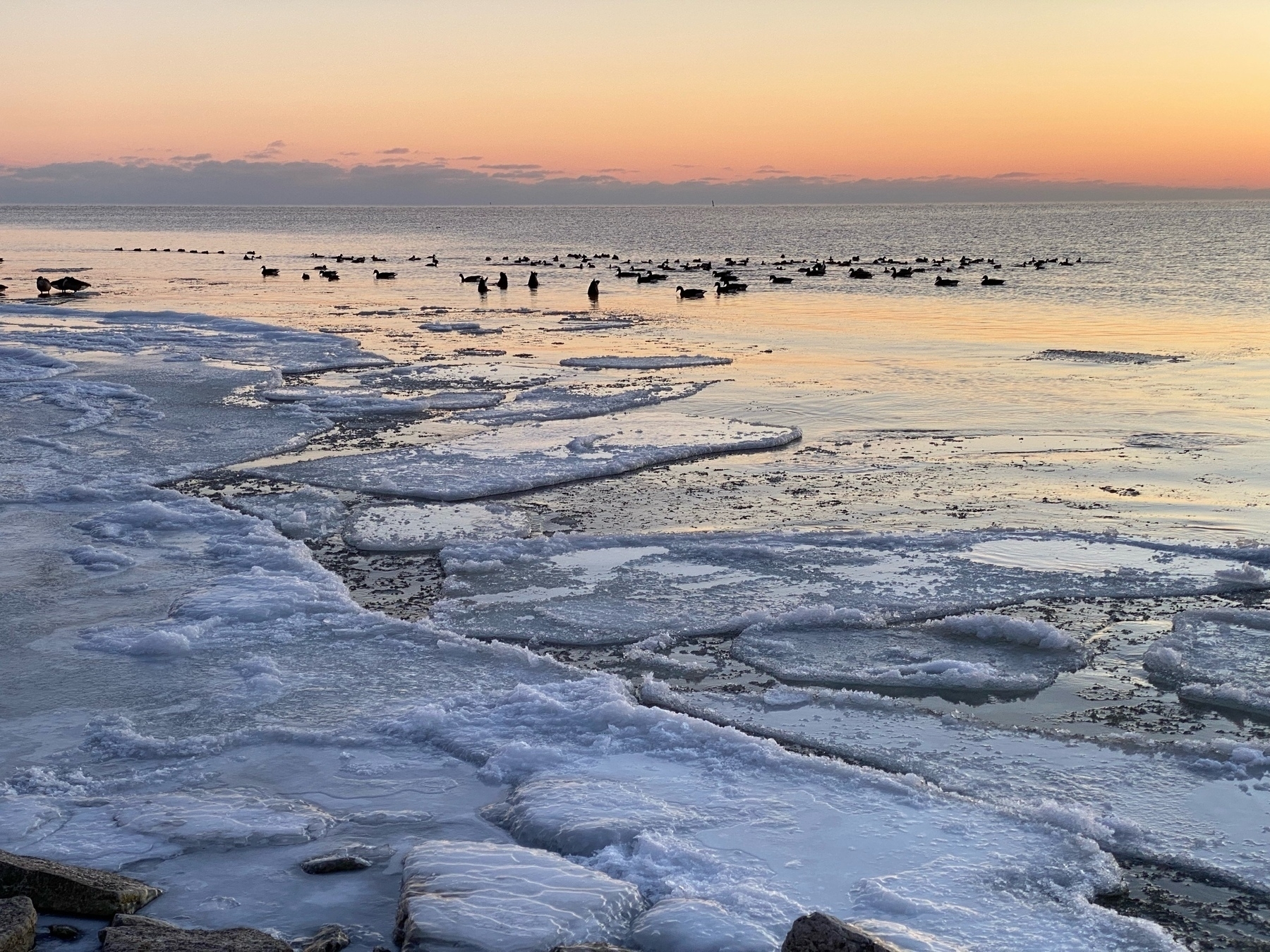 frozen lake shore at sunset