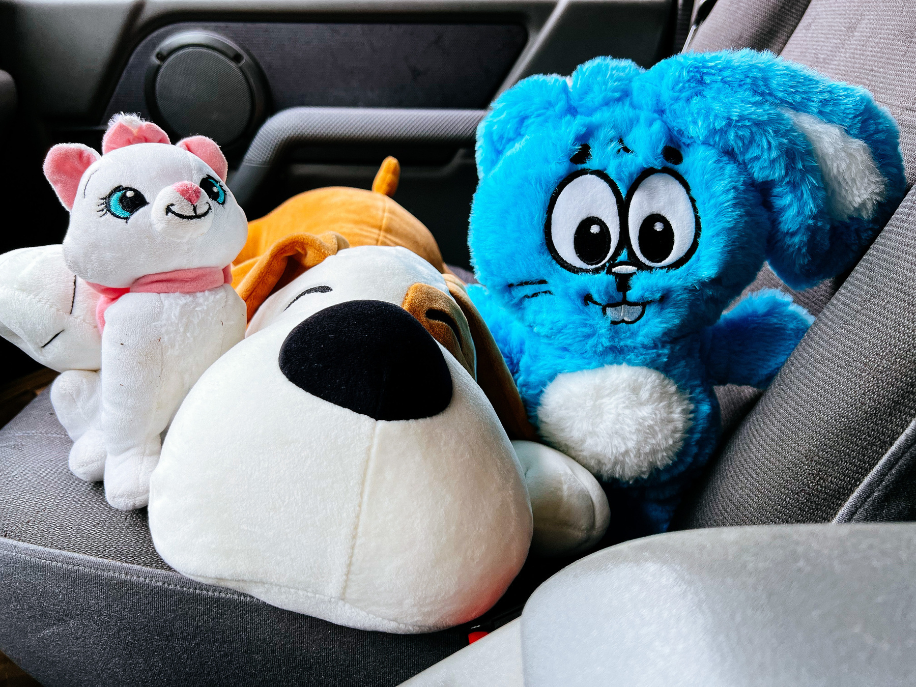A plush cat, a plush dog, and a plush rabbit sit on the front seat of a car 