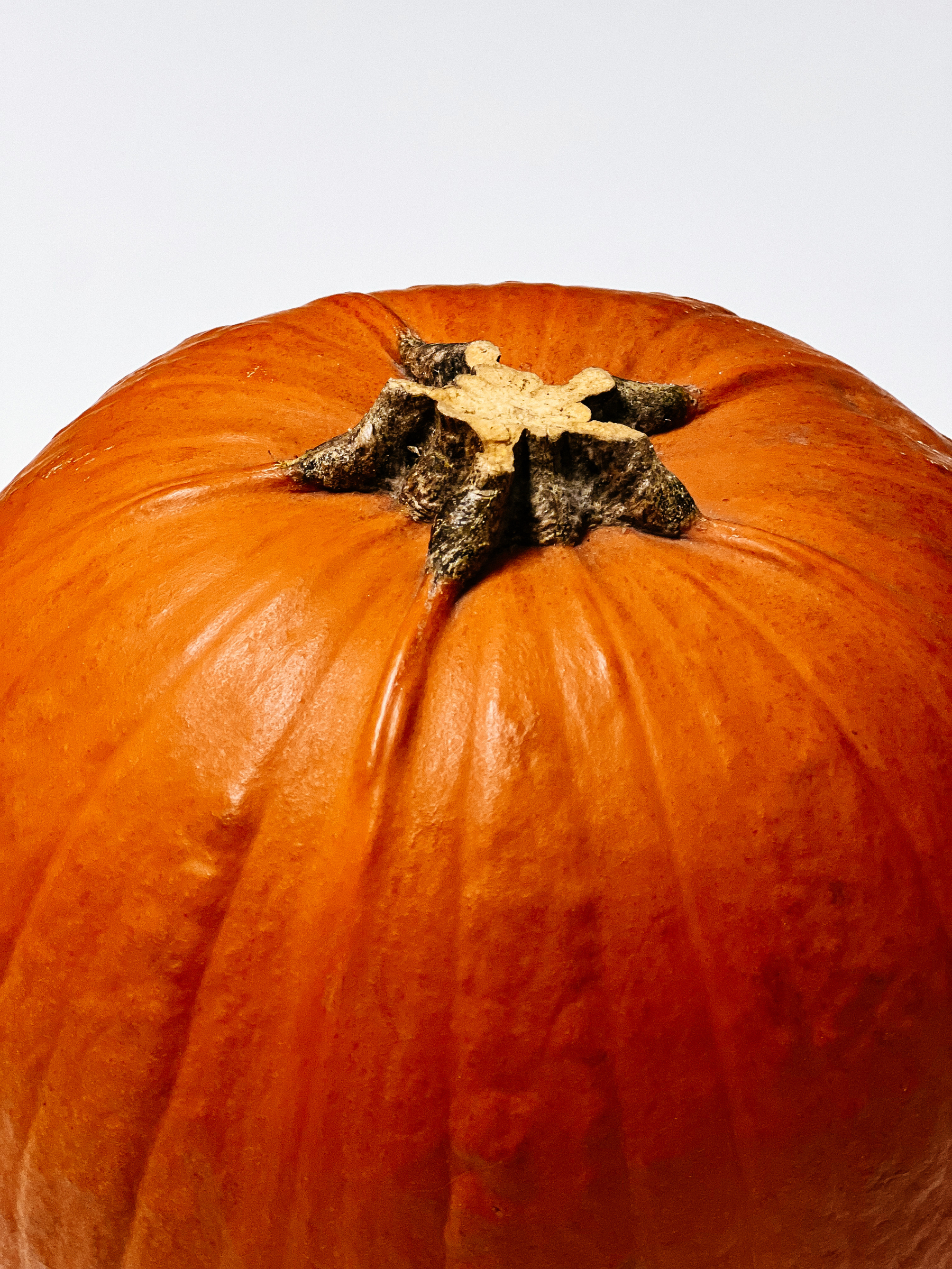 A pumpkin 