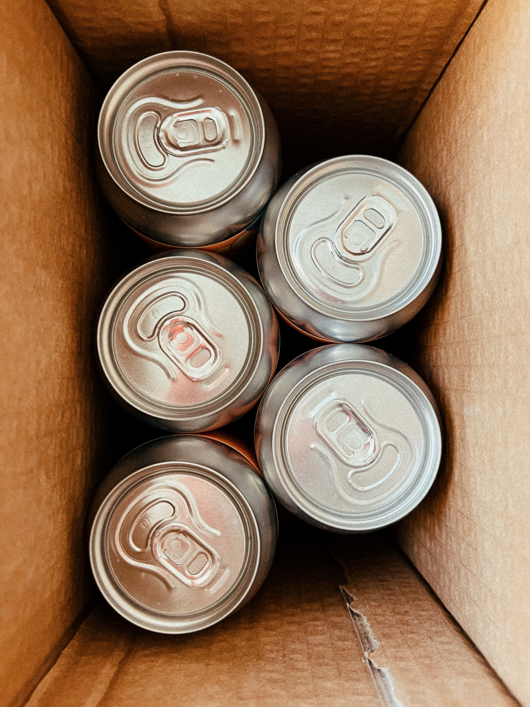 Five cans inside a cardboard box. 