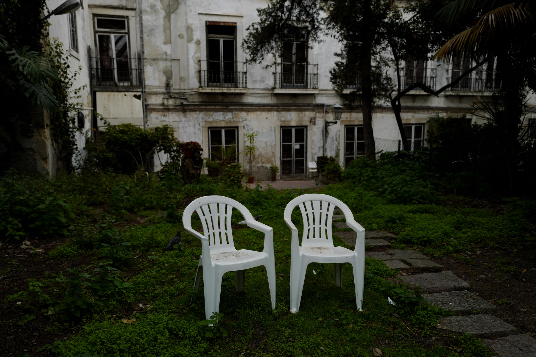 Two plastic chairs on the unkept lawn of a seemingly abandoned house. 