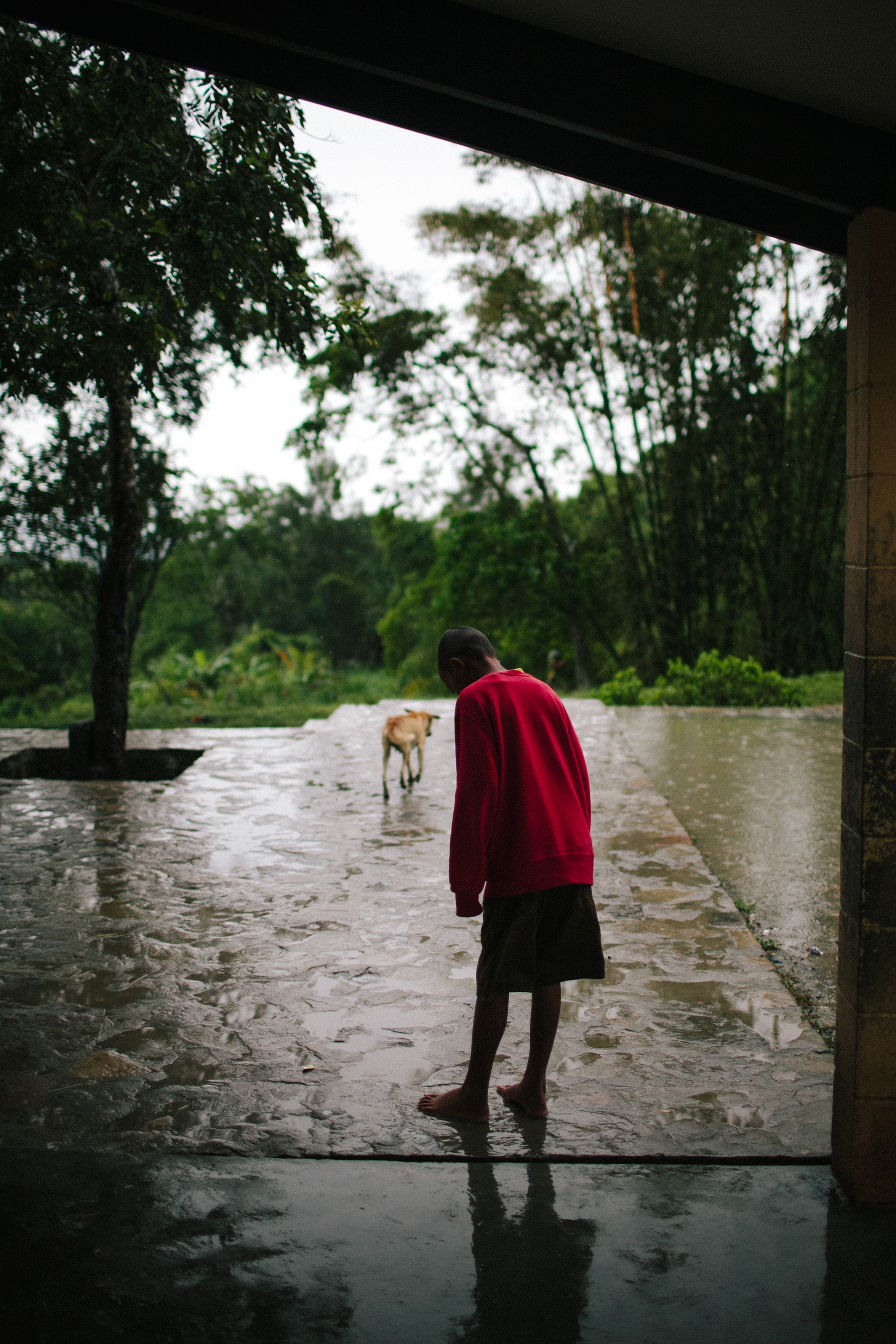A barefoot boy looks down, as a dog walks away. It’s raining heavily. Dense forest in the back. 
