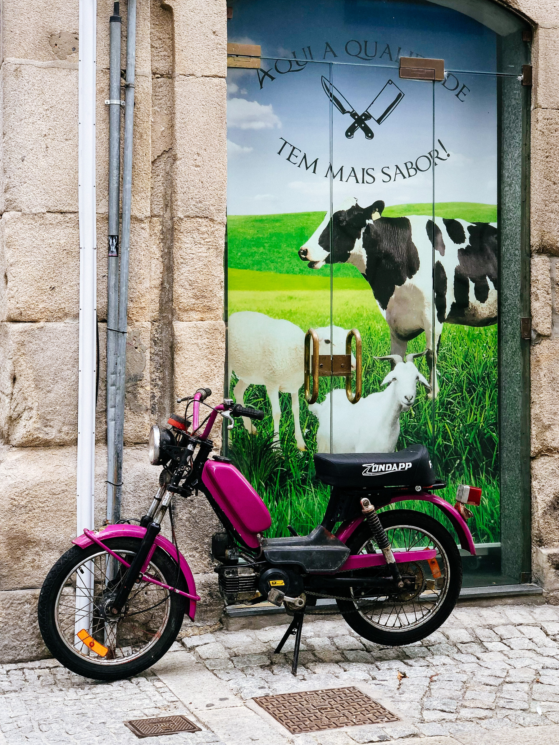 A small motorcycle in front of a shop window with a cow on it. 