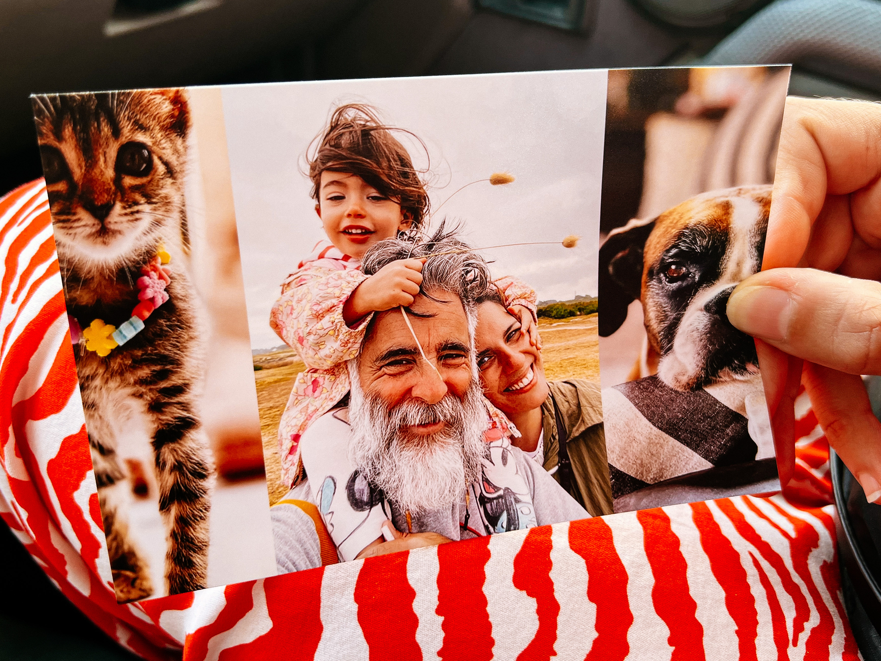 a photo of a happy family. To the left, a photo of a cat and, to the right, a dog is shown