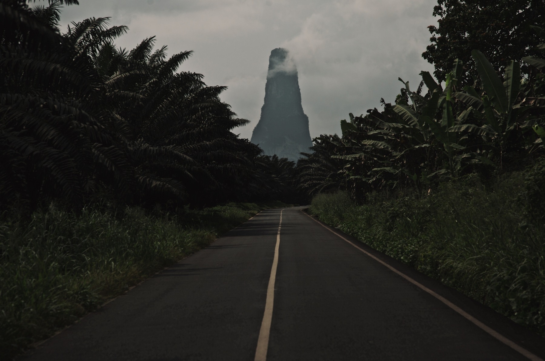 A quiet country road with palm trees on both sides and, on the background, a volcanic peak that looks like a needle.