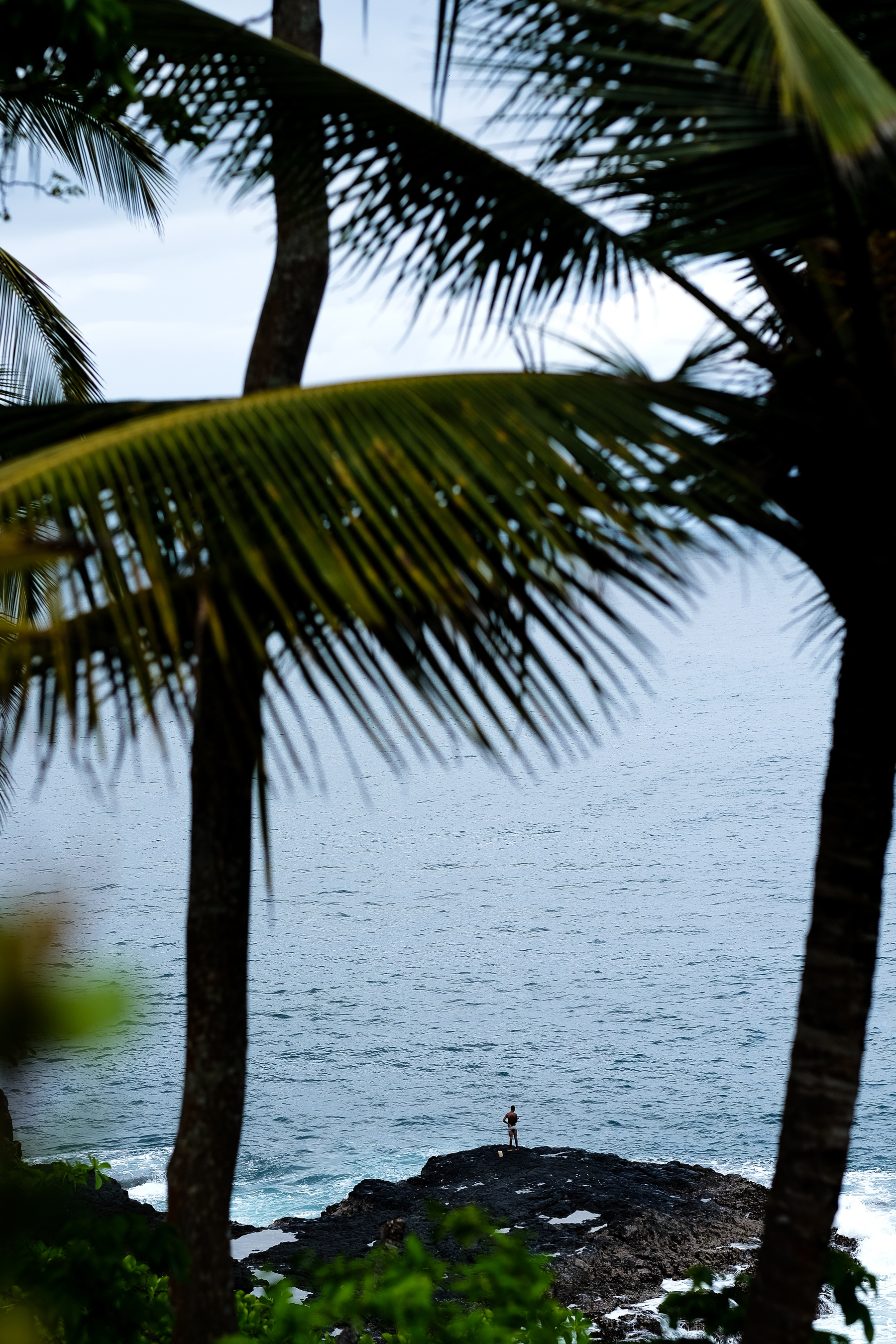 A man stands on a cliff, far from us, looking at the ocean, very small. In the foreground we can see out of focus palm trees. 
