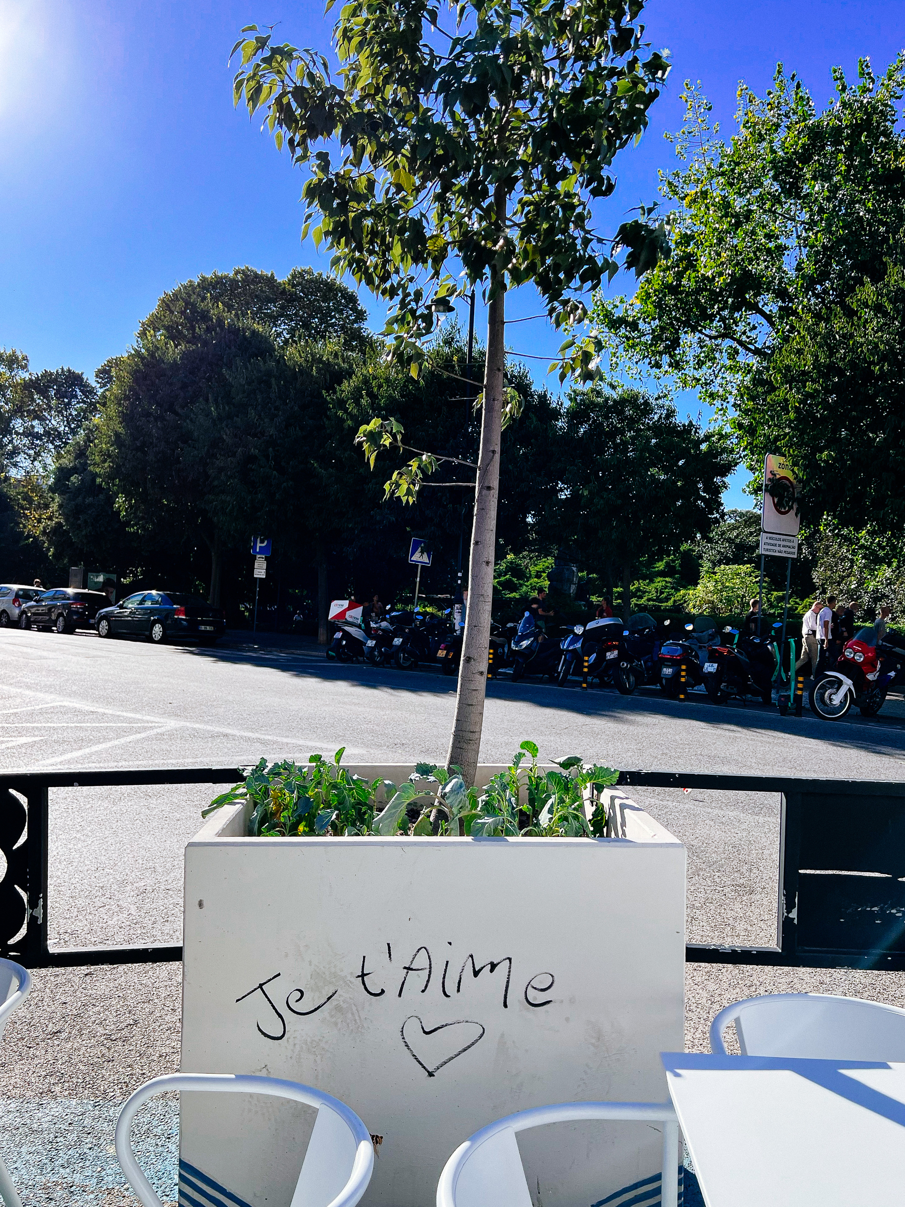 a potted plant in the city. Written on the pot: Je t&rsquo;aime.