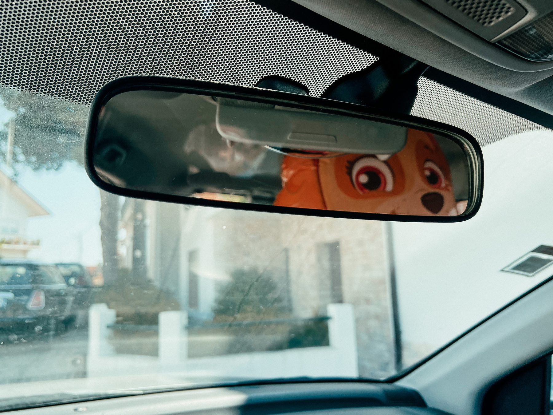 Rear view mirror on a car, with Skye from Paw Patrol looking over my shoulder 