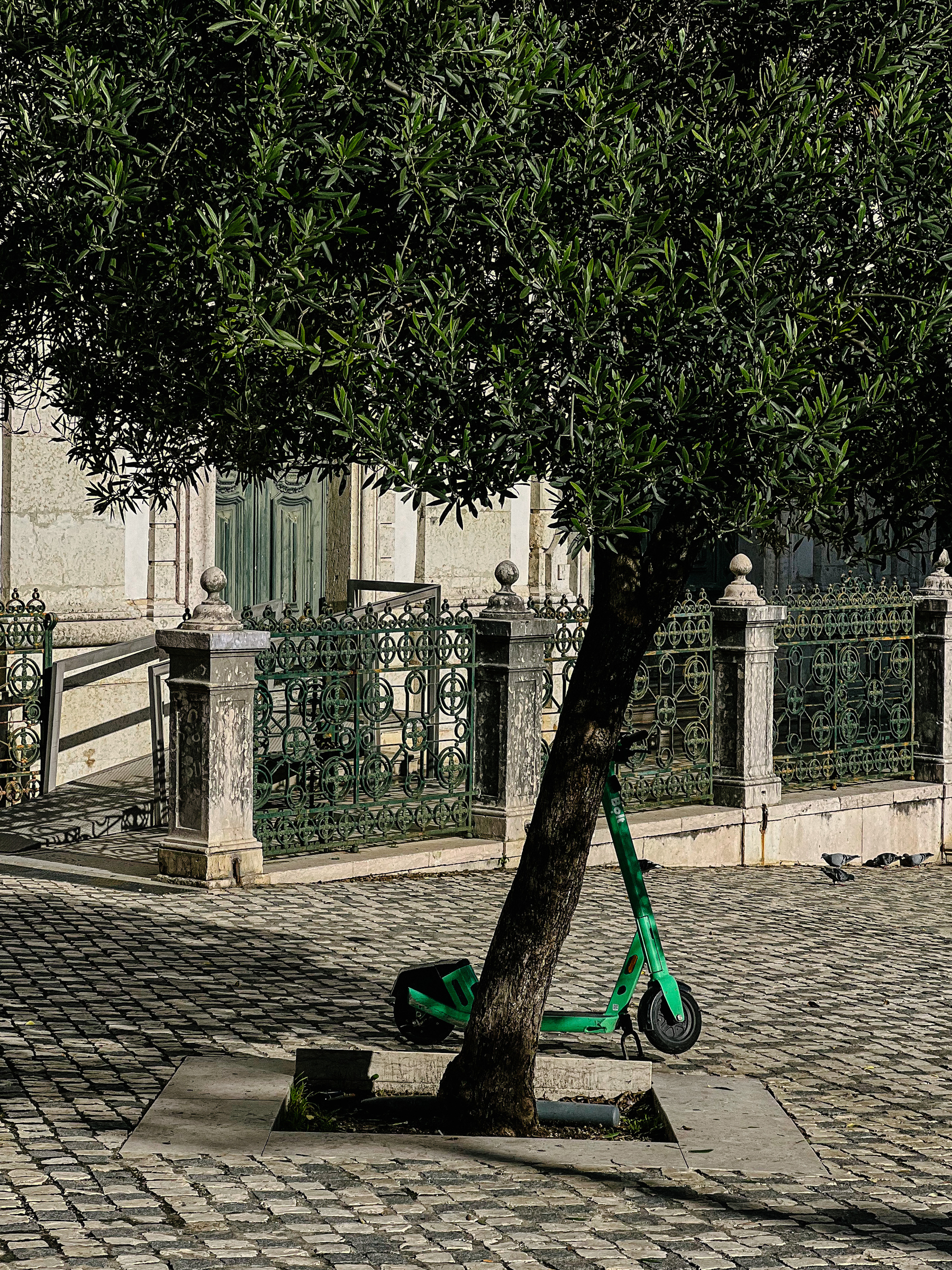 A scooter parked next to an olive tree, the entrance to a church visible in the background.