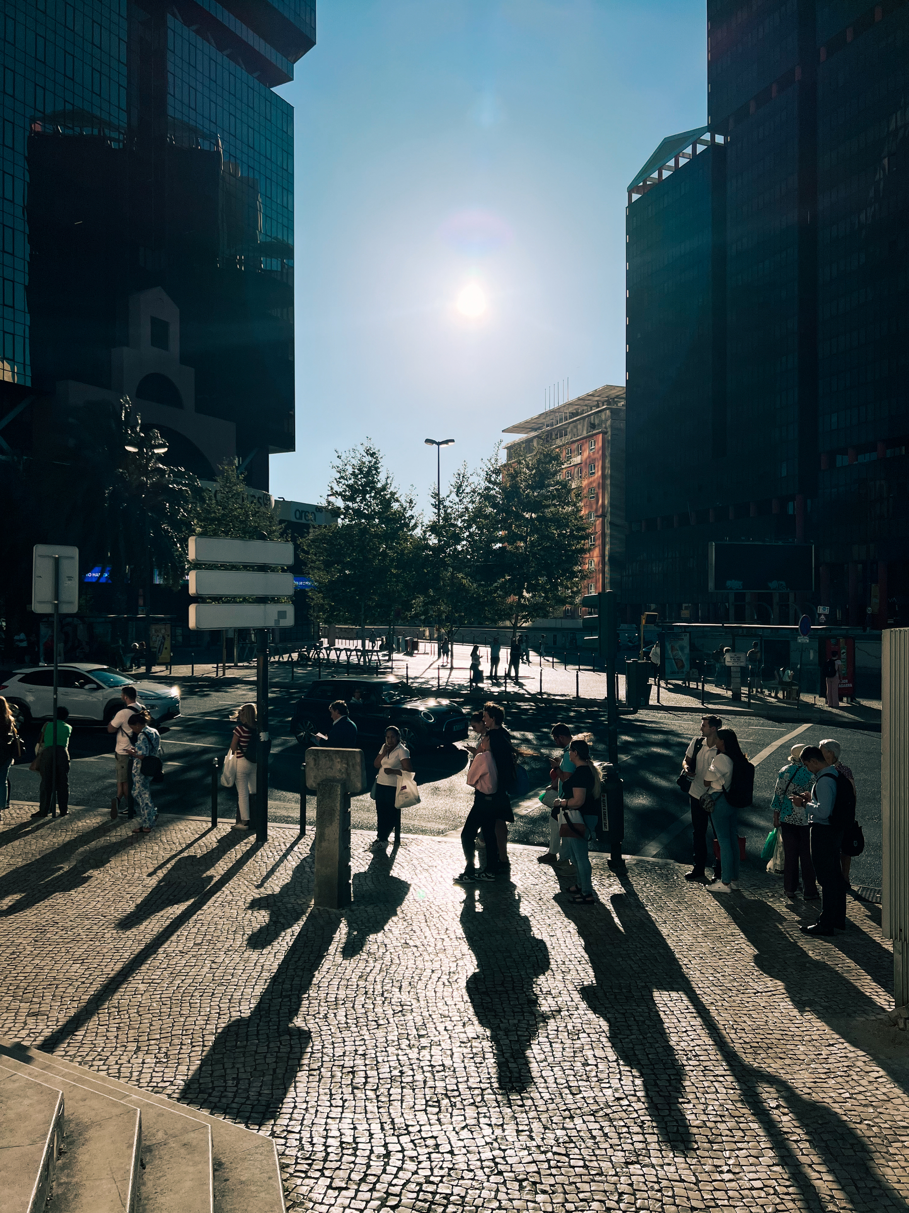 People stand in line at a bus stop, long shadows. Big buildings in the back. 